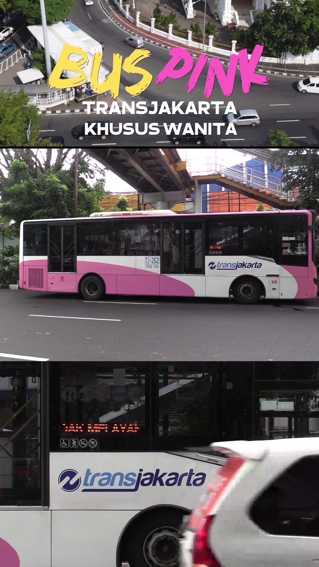 Bus Pink Transjakarta Khusus Wanita