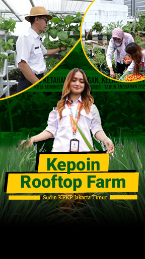 Rooftop Farm Sudin KPKP Jaktim