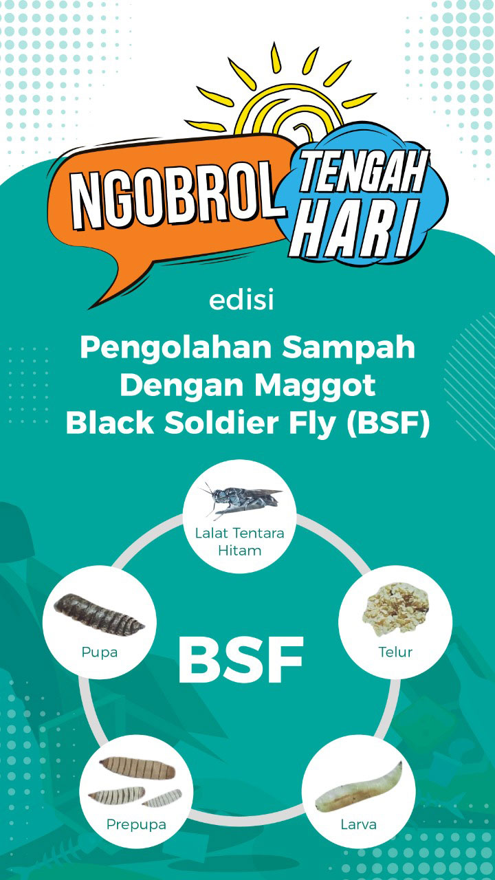 Pengolahan Sampah Dengan Maggot Black Soldier Fly (BSF)